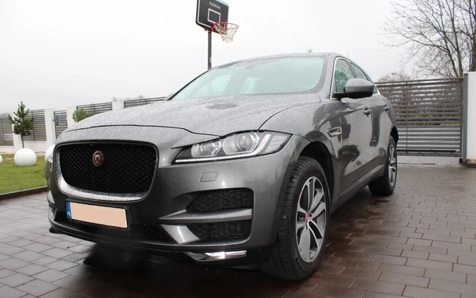 Jaguar F-Pace cena 80000 przebieg: 139000, rok produkcji 2017 z Łasin małe 596